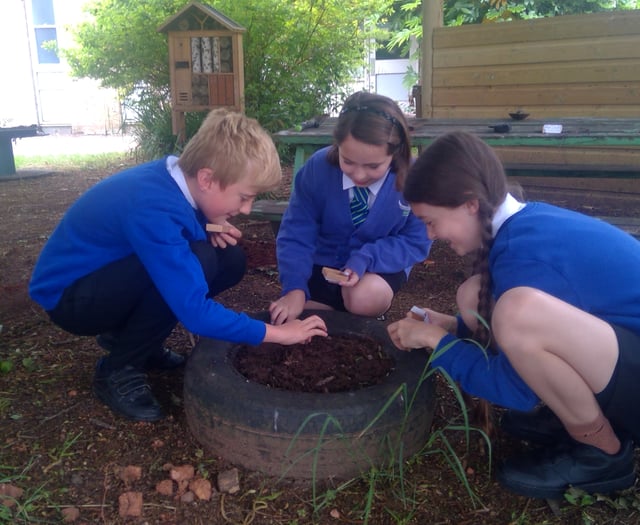 School children plant wildflowers