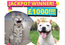 Local animal lover wins £1,000 in charity lottery