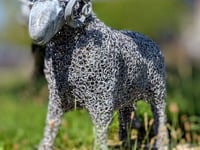 Buckfastleigh names town ram