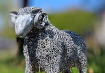 Buckfastleigh names town ram