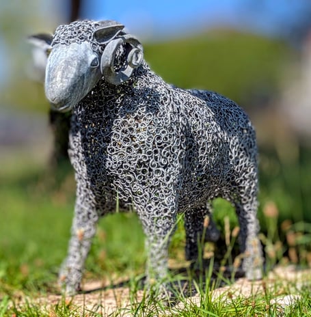 Ramaldhino celebrates Buckastleigh's ancient wool heritage