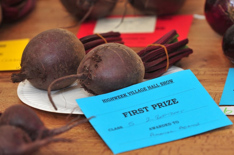 Highweek Village Show. Prize-winning beetroot