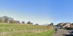 Homes plan for Exeter greenfield site