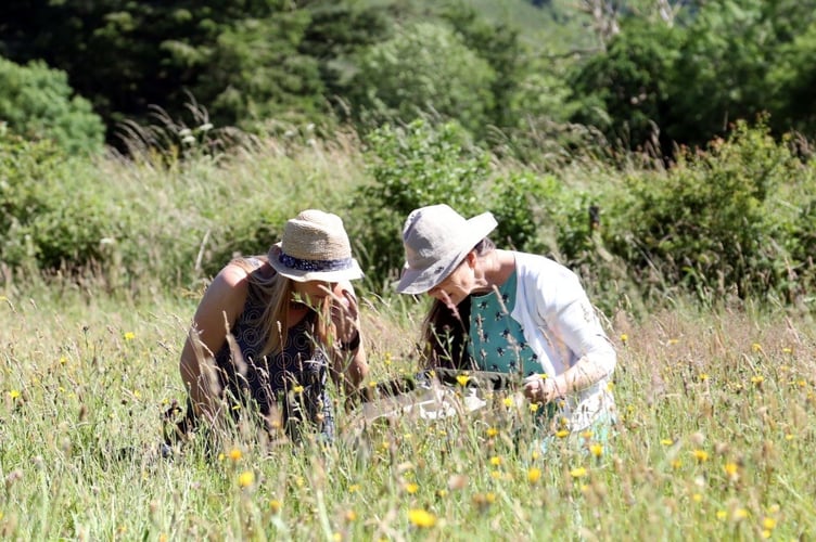 Moor Meadows survey training event held last year. 