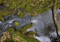 South West Water pledges £2 million for community-led initiatives
