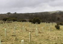 South West Water plants 390,000 trees across Devon and Cornwall