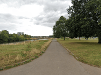 Witnesses sought after Exeter Quay assault 
