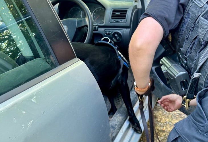 PD Ken checks out a car. Photo Ashburton police