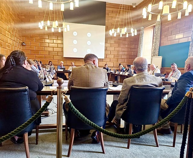  Emotional pleas in bid to save fire co-responder service