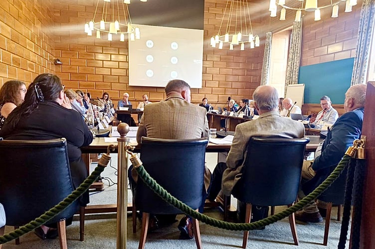 Councillors debate the possible removal of the fire co-responder service (Image courtesy: Nigel Kenneally).