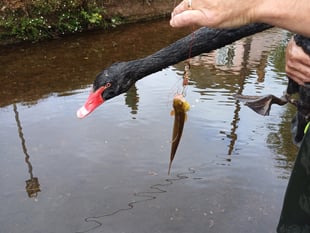 No fishing warning issued 