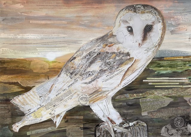 Ashburton artist Glen  Middleham's barn owl artwork for the Barn Owl Trust.