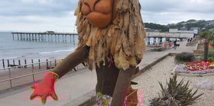 Sea Lion wins TRAIL people’s choice award