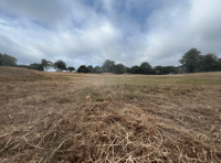 Anger as wildflower meadow is cut down