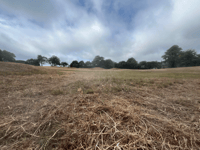 Anger as wildflower meadow is cut down