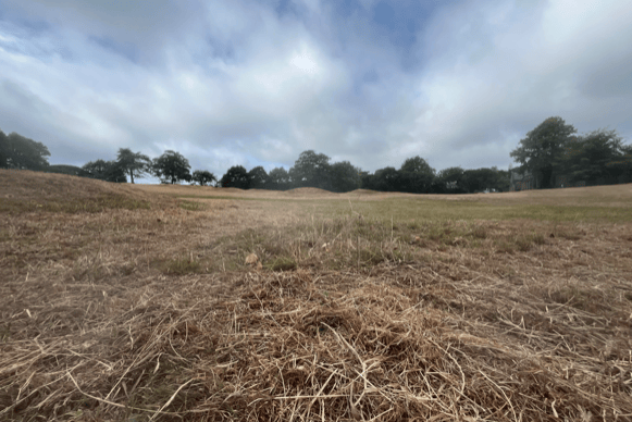 Cut grass at Torre Abbey, Torquay
