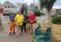 Guerilla gardeners tackle overgrown verge