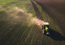 Drought and disease push Devon farmers ‘to the limit’
