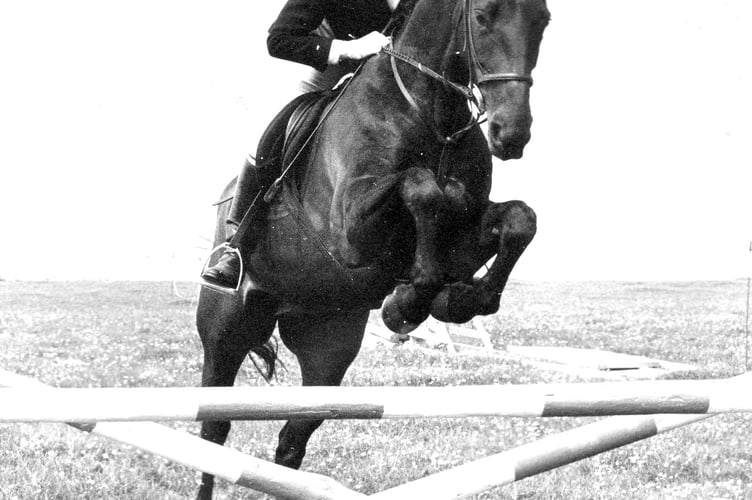Ellen Horton on Ditto tackles the jumps in the Novice Working Hunter competition at Newton Abbot Horse Show in May 1989