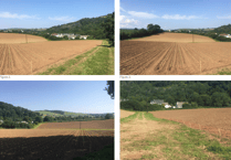 District council weighs in on Buckfastleigh homes plan