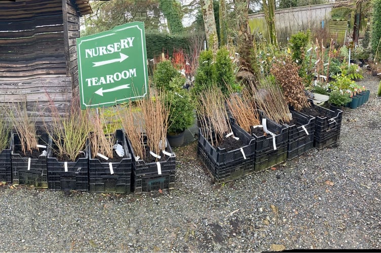 Hill House Nursery and Tearoom has closed its gates for the final time