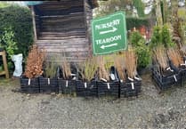 End of an era for nursery