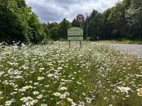 Volunteers Needed to Preserve Exminster Wildflowers