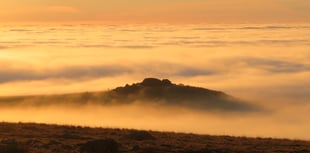 Talented snappers capture Dartmoor beauty