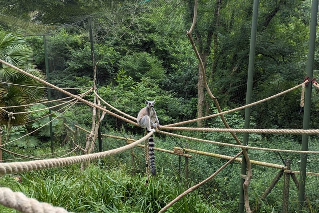 ‘Save our zoos’ plea from Devon MP