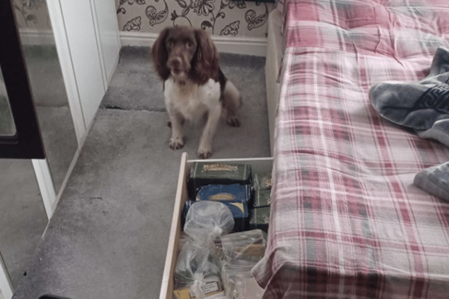 Tobacco and vapes found in the flat above Zakopane in Market Street, Torquay