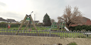 Dog attack: Police seek owner after infant injured