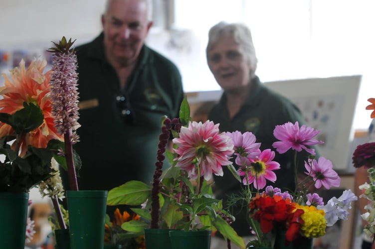 Dawlish Garden Society annual summer show
