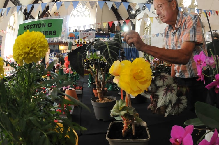 Dawlish Garden Society annual summer show