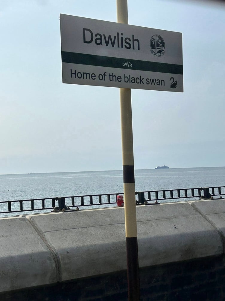 Cruise ship Aurora on the horizon off Dawlish this morning. Photo Anne Stevens
