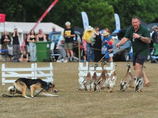 Ton-up celebrations for this year's Christow Show