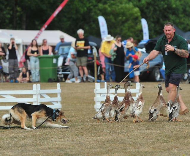 Ton-up celebrations for this year's Christow Show