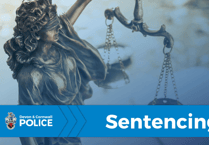 Exeter man's Co-Op theft spree ends in 12-month sentence