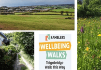 Join free wellbeing walks in Abbotskerswell