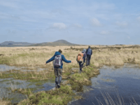 Water company shortlisted for national biodiversity award