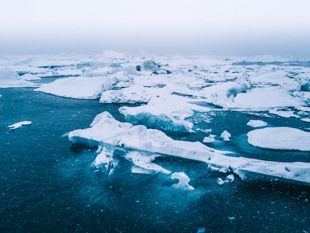 Temporary slowdown in melting of Arctic sea ice, study finds