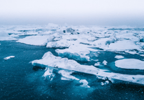 Temporary slowdown in melting of Arctic sea ice, study led by Exeter University finds