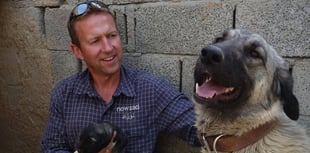 Pen Farthing to judge Exminster dog show