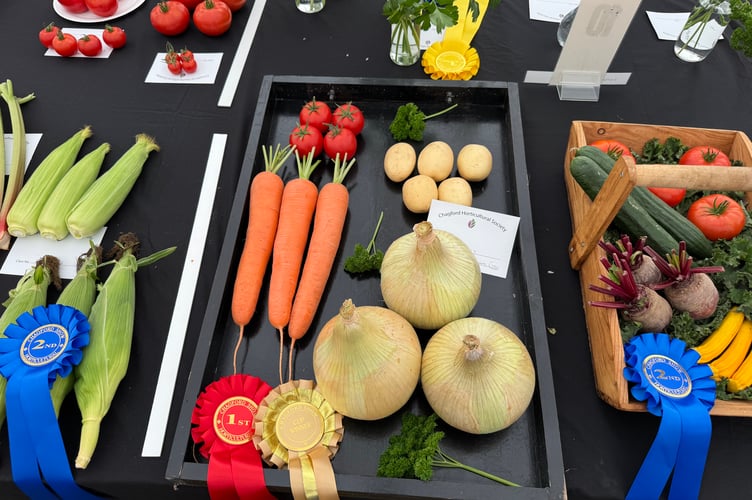 David Hoare from North Tawton won the Collective Exhibit of Vegetables class at Chagford Show.  AQ 1009
