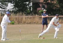 Chudleigh 1st XI confirm their Devon Cricket League C Division West safety