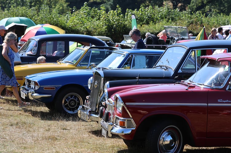Classic cars on display. Photo: Owain Davies