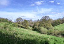 Exeter University's valley conservation to boost biodiversity