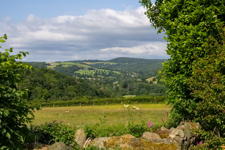 reed farm 