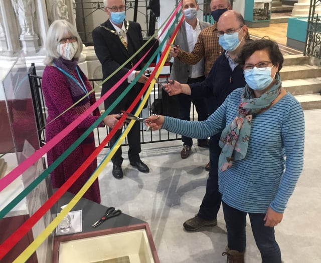 Newton Abbot museum's face bunting call