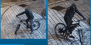 Museum theft: Can you help police?