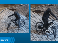 Museum theft: Can you help police?